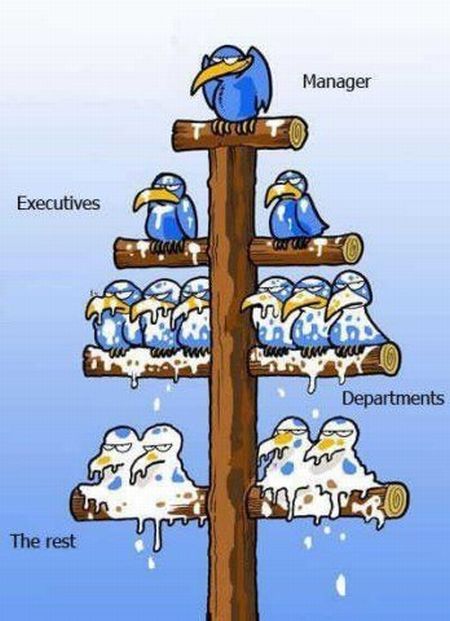 humor gráfico jerarquias