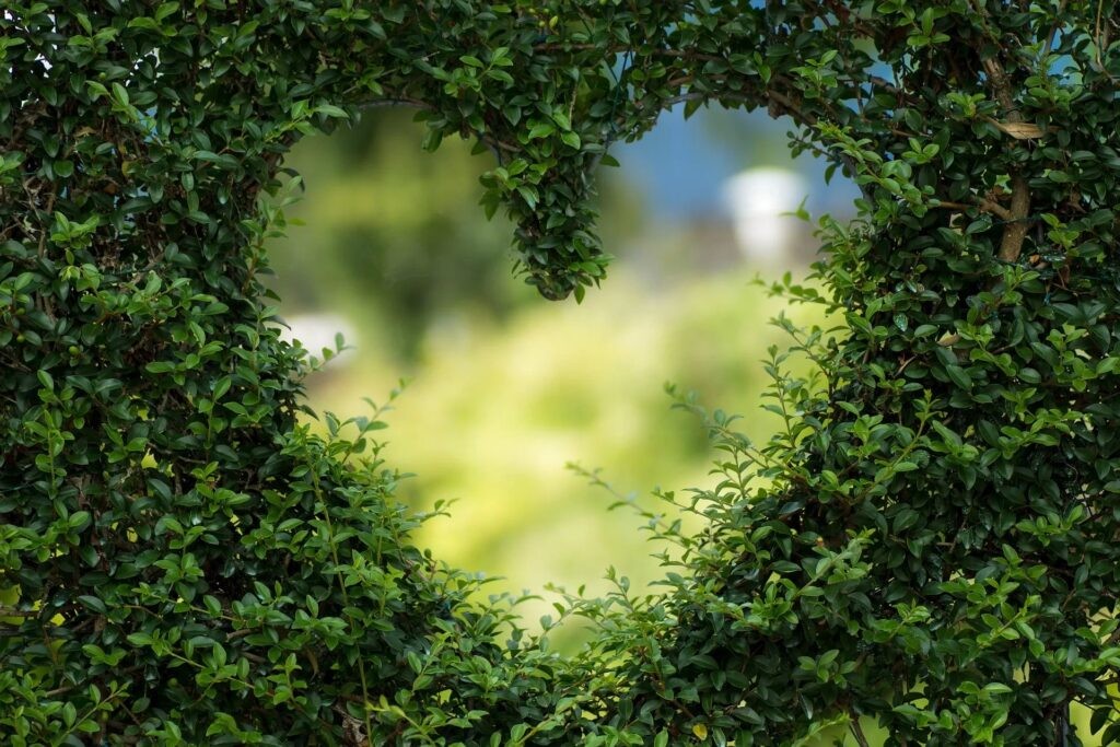 Fondo de pantalla corazón